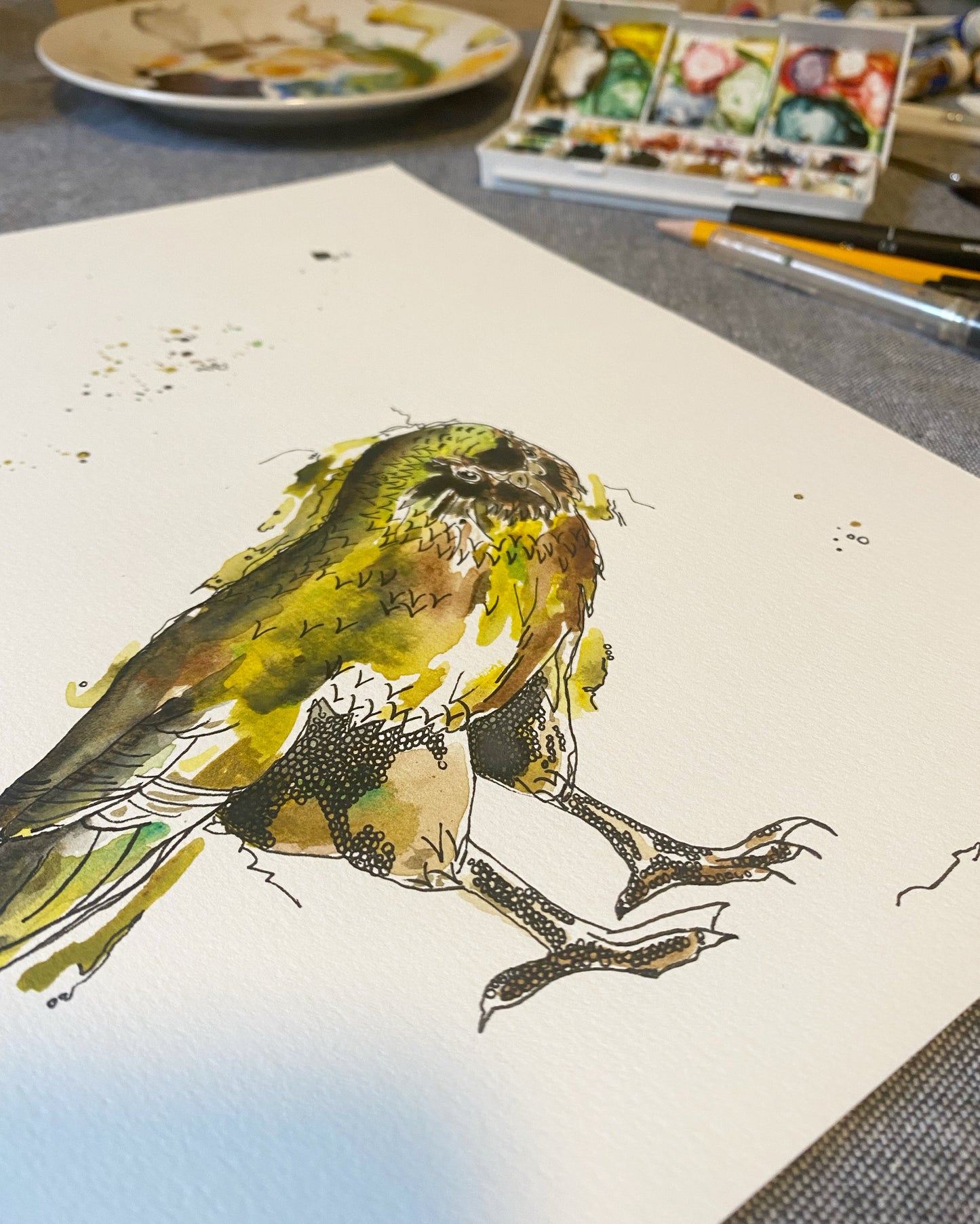 Kākāpō - Watercolour Painting Print