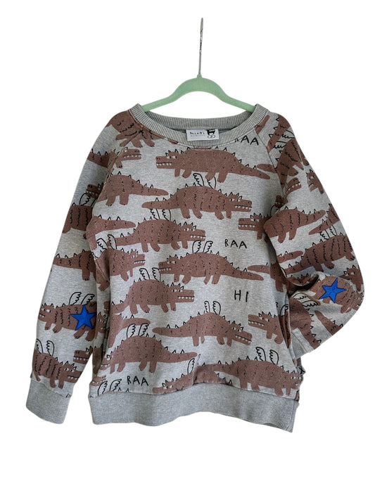 Minti Flying Dinosaur Jumper - Size 8