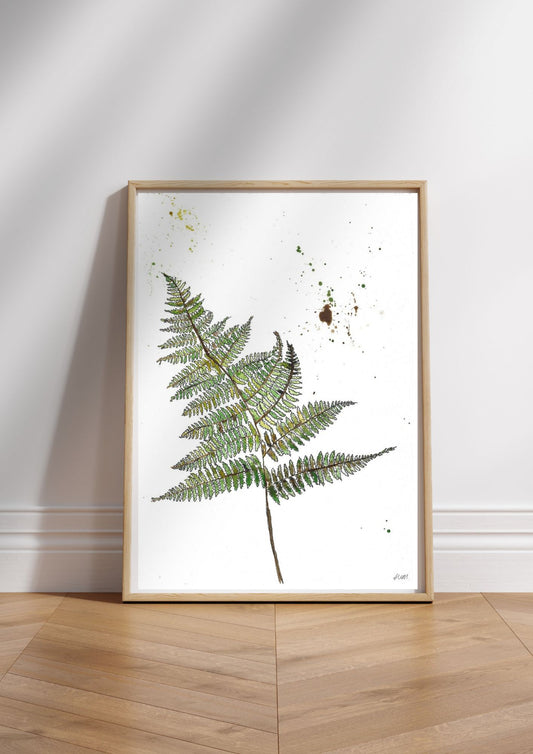 Silver Fern - Watercolour Painting Print